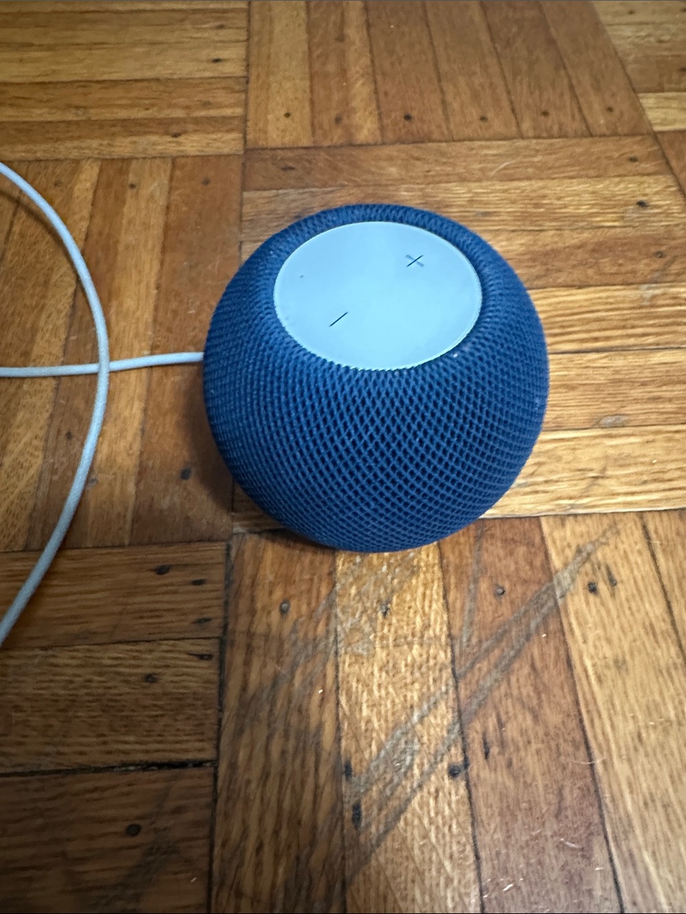 Apple Homepod Mini — Blue Mesh Mini Speaker